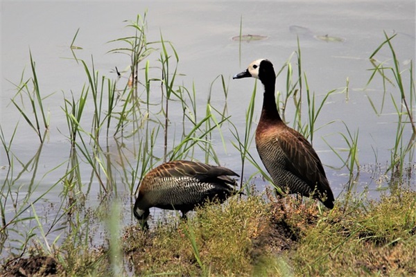 那些超级忧伤的句子 悲伤的句子