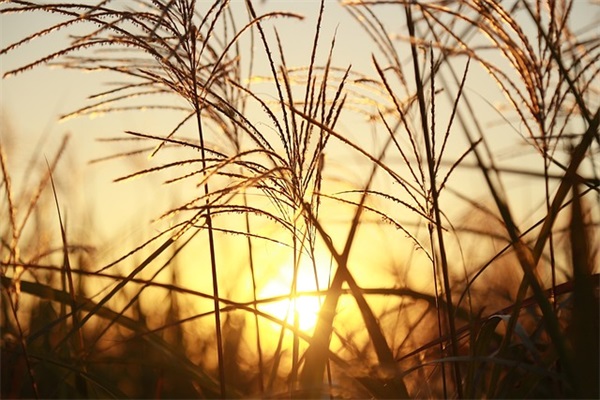 满满的感动和温暖句子 很暖很治愈的短句