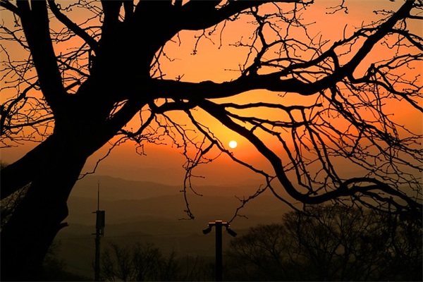 深深的愧疚父母的句子 表达对父母亏欠的句子