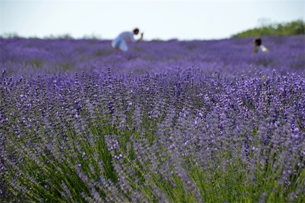有关坚持的哲理句子 关于坚持的哲理句子
