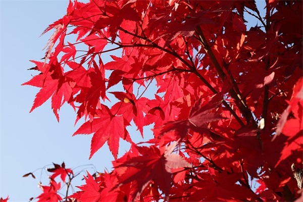 变革相关励志句子