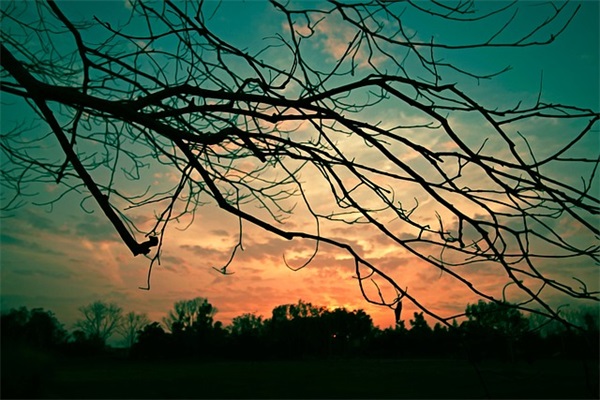 打动人心爱情表白句子(最能打动人心的情话短句)