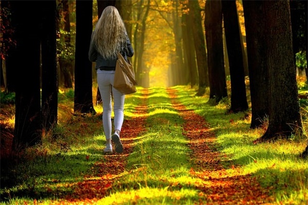 感悟人生的好句子摘抄 人生哲理的句子