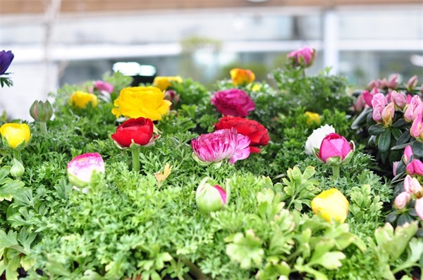 收拾屋子后的心情短句 屋子干净心情好的句子