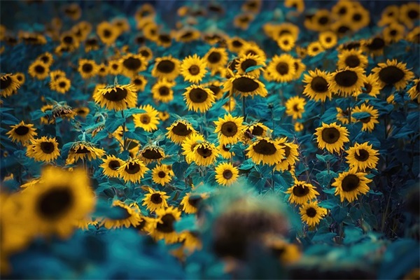 向着目标前进的励志句子 关于目标的励志句子