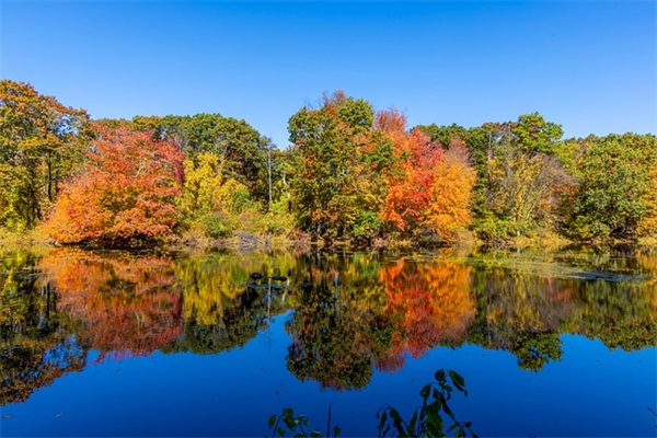 撒娇文案长句子(女生撒娇的文案大全)