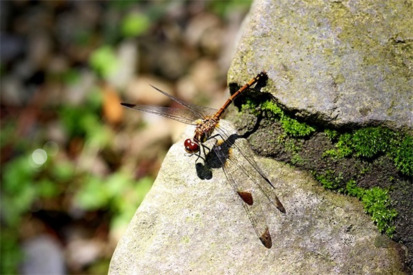 软环境建设实施方案