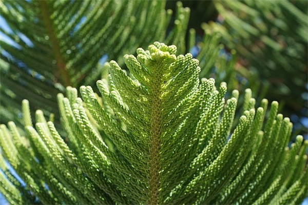 致自己的不容易的句子精选141句