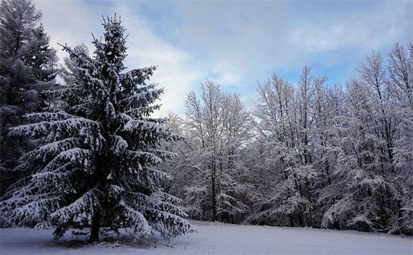 好句子大全唯美(优选179句)