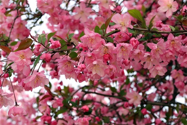 形容一个人很坚强的句子精选137句