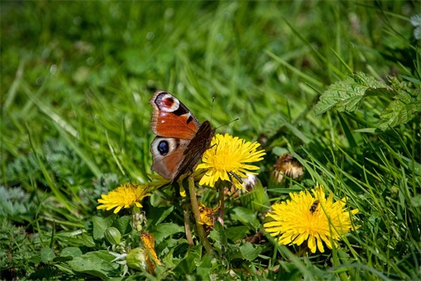 四个字好听的网名符号【78个精选】