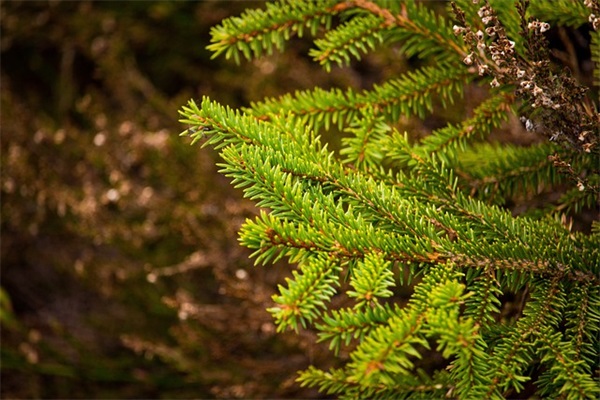 面对失败的名人名言_笑对失败的名人名言
