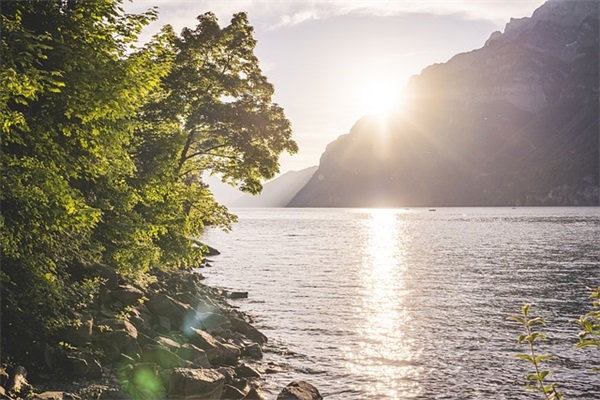 有关学习的谚语200条