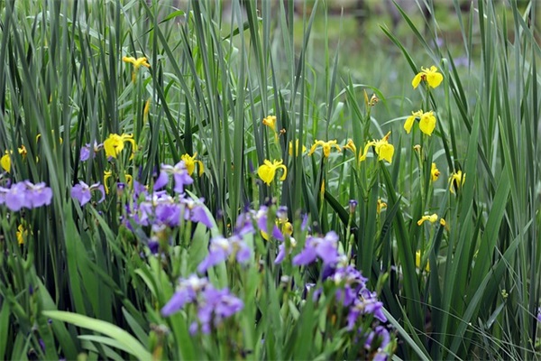 农历十月初一是阳历的哪一天 农历十月初一是阳历的几号