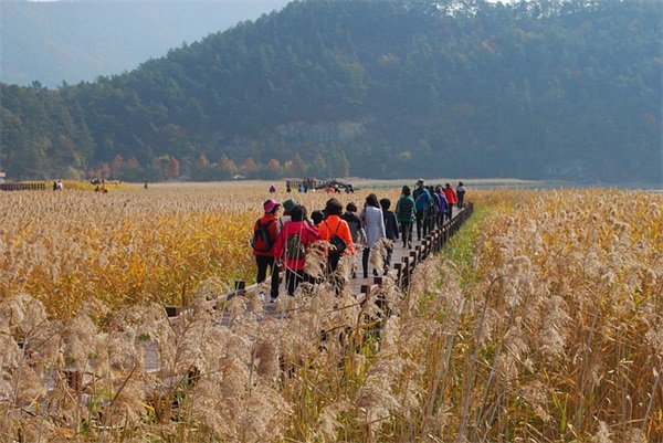 丸子美食汇是什么？怎么做？