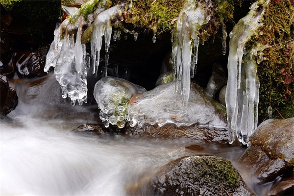 鲜鲍鱼怎么处理清洗及鲜鲍鱼怎么处理清洗视频