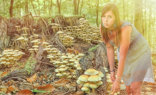 大众高尔夫怎么？