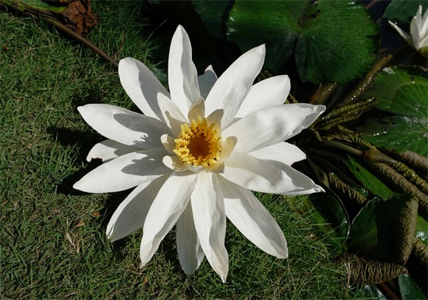 斯柯达Yeti怎么样 值得买吗