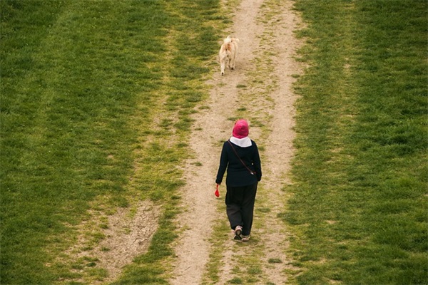 扇贝怎么清洗？如何清洗扇贝才能保证干净？