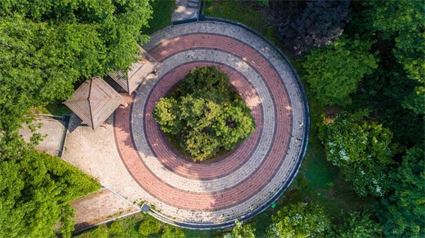 烤鸡怎么做？烤鸡的配料配方有哪些？