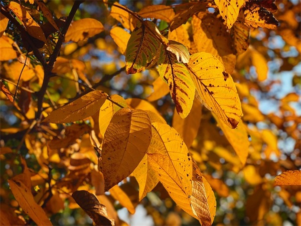 泗泾二手房价格怎么样？