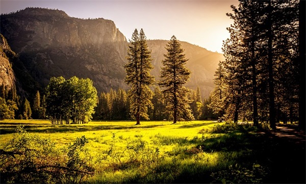 南平租房信息怎么找？