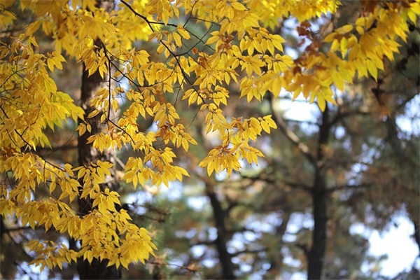 高跟凉拖怎么穿？时髦又不累脚？