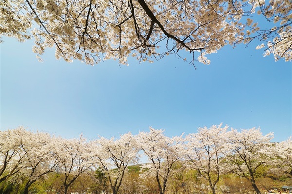 保险产品测评是怎么样的呢？