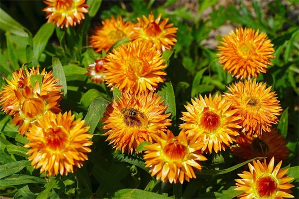 排气管冒烟怎么办？