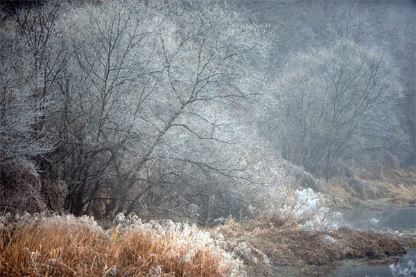 海鸥手表怎么样呢？
