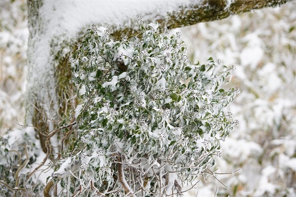 沃尔沃c70敞篷,沃尔沃c70敞篷跑车,沃尔沃c70 t5耗油怎么样