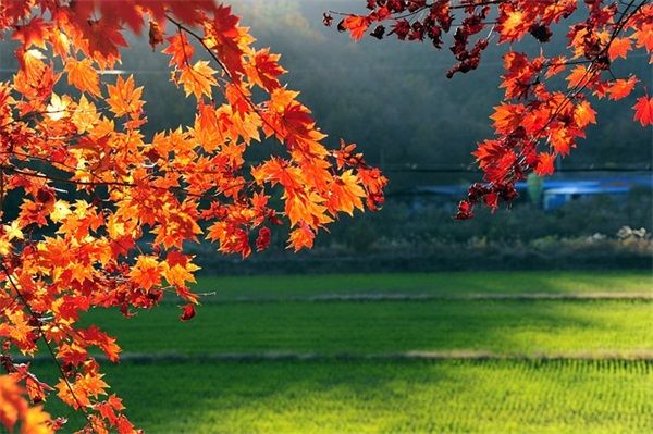 海马郑州海马S5安全性怎么样