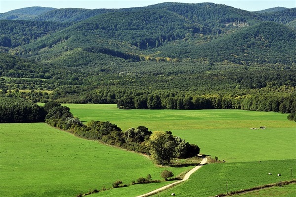 广场舞梨山痴情花恰恰步子舞是怎么跳的？-详细介绍