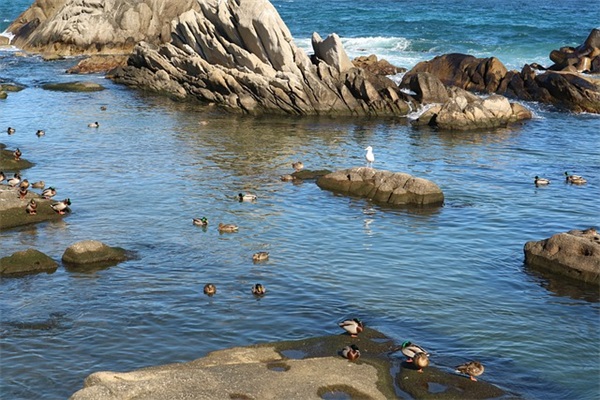 土豆薯条怎么做才好吃？