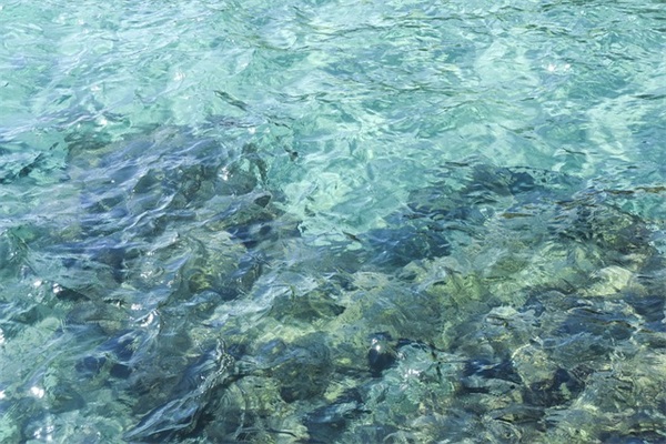 招财猫左手招什么右手招什么 招财猫左手招财