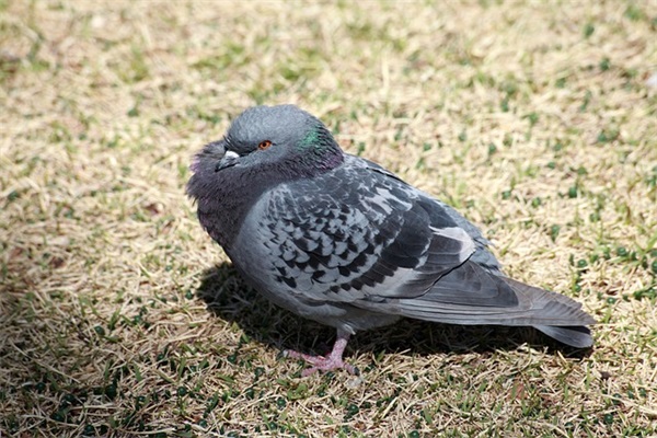 毕业寄语精辟句子写给老师感人到哭的句子 (精选40句)