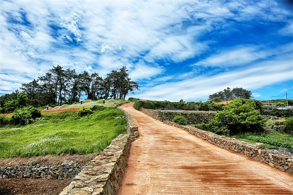 表达心境迷茫无助的句子收藏54句