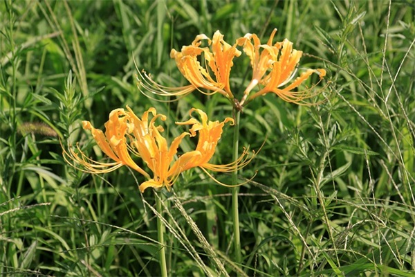 8个字的霸气句子