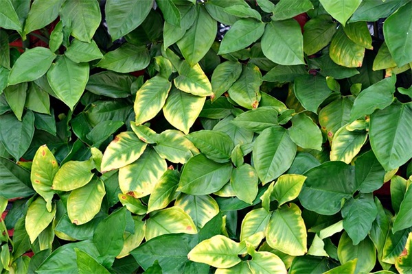 安慰难过的朋友的暖心治愈句子40条