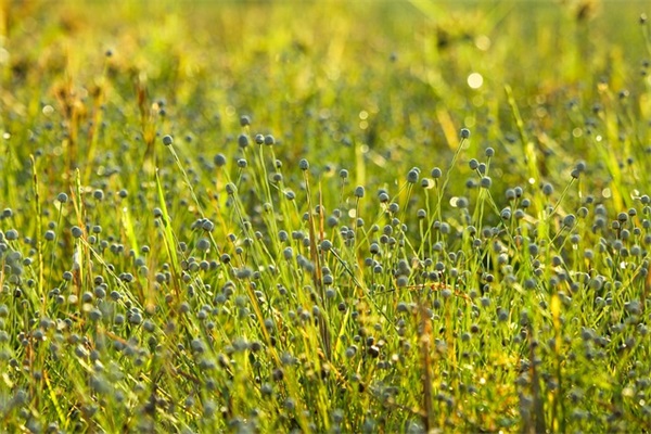 往事随风爱恨随意的唯美句子40句