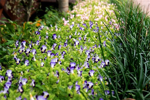 浪漫好听的情侣游戏名字大全