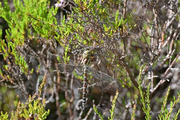 新浪微博名字大全 好听的新浪微博昵称