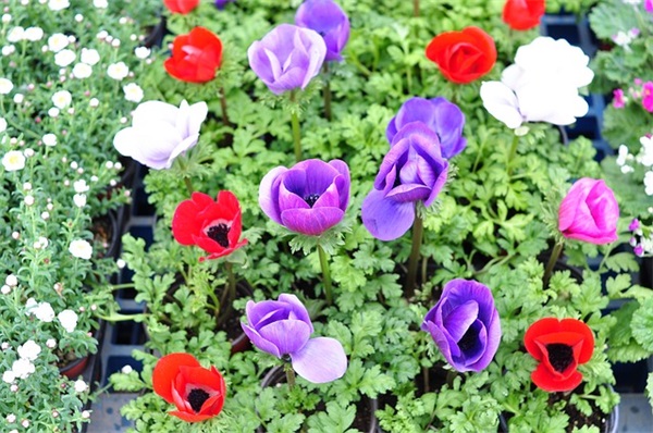 逆战个性名字大全_徒手平江山