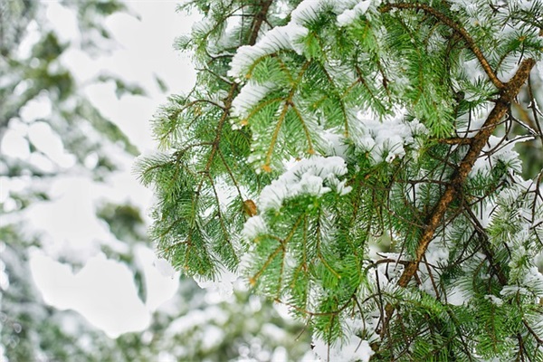 好听的游戏名字，简短有意义的英文id