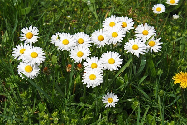 cf情侣名字大全 好听的CF游戏名字