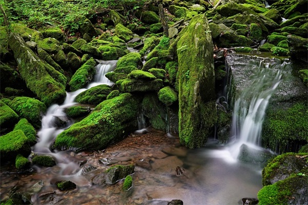 超软甜的网名大全‖游戏情侣单人