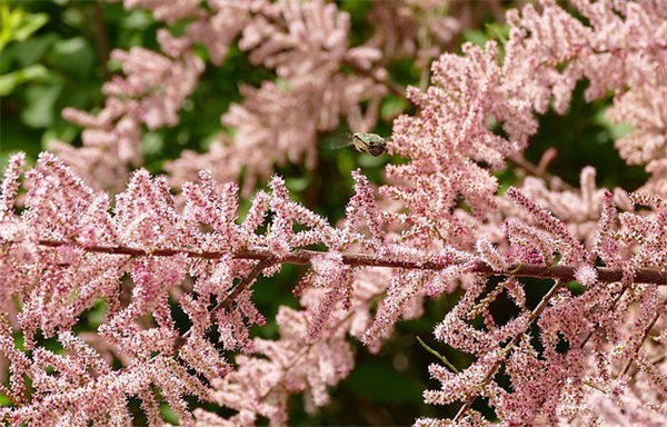 游戏id男生简短好听