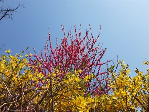 关于描写早晨晴朗的优美句子精选74条（精选）