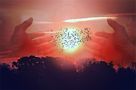 祝家公生日快乐祝福语 晚辈祝家里老人生日快乐