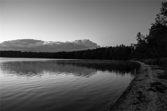宣布自己离婚的句子